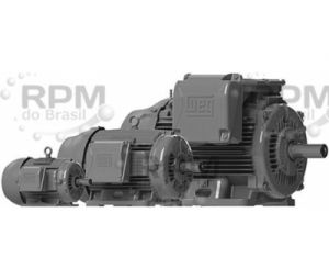 WEG ELECTRIC CORPORATION 00152ET3E182T-W22
