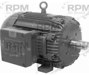 WEG ELECTRIC CORPORATION 00518XT3E184T