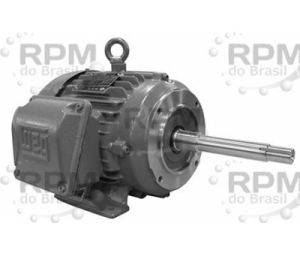 WEG ELECTRIC CORPORATION 07512ET3E405JP-W22