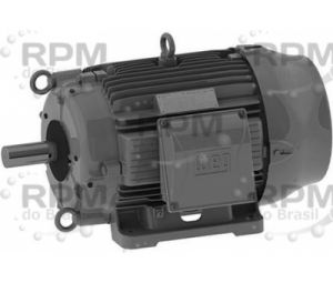 WEG ELECTRIC CORPORATION 00118ET3PCT143T-W22