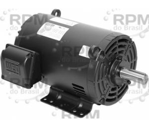 WEG ELECTRIC CORPORATION 00118OT3E143T-SG