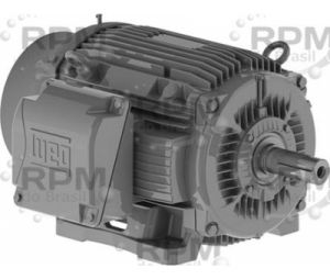 WEG ELECTRIC CORPORATION 01509ST3QIE286T-W22