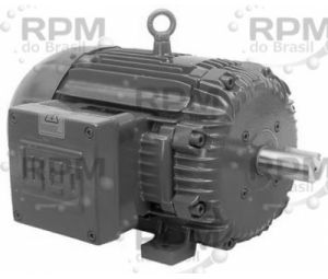 WEG ELECTRIC CORPORATION 20018XT3G504