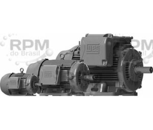 Electrical - Weg Electric Corporation 12536EG3G444TS-W22 - Weg Electric Corporation