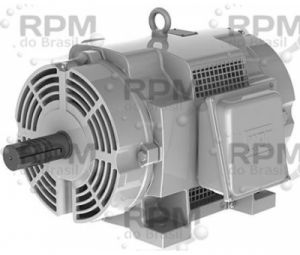 WEG ELECTRIC CORPORATION 00312OS3EOW213T