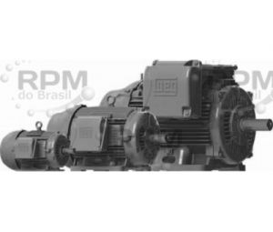Electrical - Weg Electric Corporation 00718EG3E213T-W22 - Weg Electric Corporation