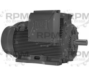 WEG ELÉTRICA CORPORATION 25018ET3GKD447T-W22