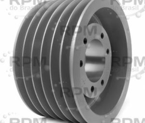 TB WOODS (ALTRA) 5V1096