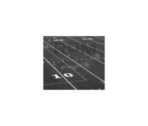 RUST-OLEUM CORPORATION 206043