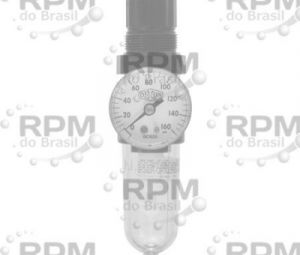 DIXON VALVE & COOPLING COMPANY, LLC B07-202MG