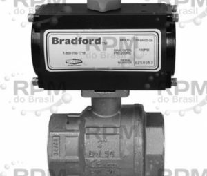 DIXON VALVE & COOPLING COMPANY, LLC BV2BV-10011-BBC