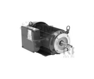 EUA MOTORES (NIDEC) EC01