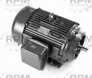 LEESON ELECTRIC GT1239A