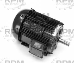 MOTORES LINCOLN LM16029