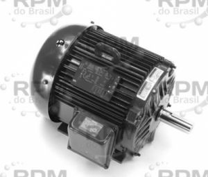 MOTORES LINCOLN LM16030