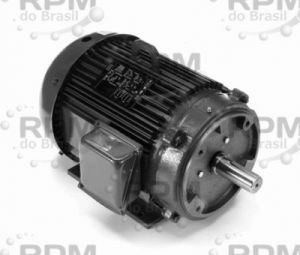 MOTORES LINCOLN LM16755