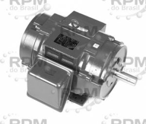 MOTORES LINCOLN LM29576