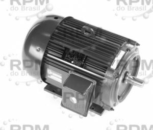 LINCOLN MOTORES LM32654