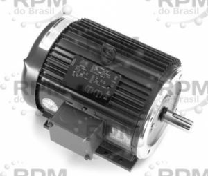 LINCOLN MOTORES LM33484