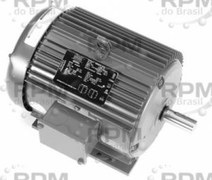 LINCOLN MOTORES LM33487
