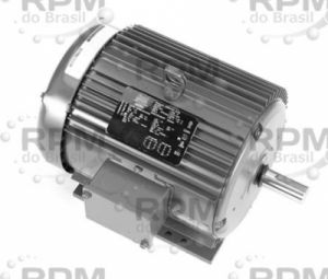 MOTORES LINCOLN LM33561