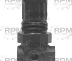 DIXON VALVE & COOPLING COMPANY, LLC R07-100R