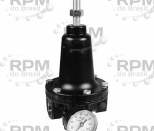 DIXON VALVE & COOPLING COMPANY, LLC R119-12CG