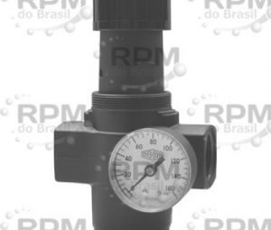 DIXON VALVE & COOPLING COMPANY, LLC R17-800R