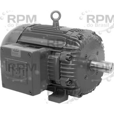 WEG ELECTRIC CORPORATION 00518XT3E184T
