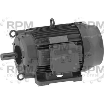 WEG ELECTRIC CORPORATION 00112ET3ECT145T-W22