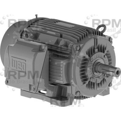 WEG ELECTRIC CORPORATION 00158ST3QIE145T-W22