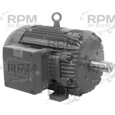 WEG ELÉTRICA CORPORATION 00112XT3E145T