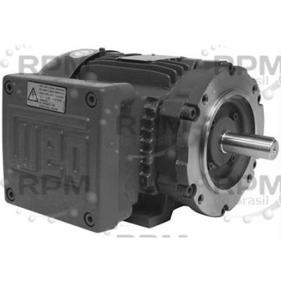WEG ELÉTRICA CORPORATION 00536XT3H184TC