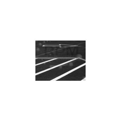 RUST-OLEUM CORPORATION 1677838