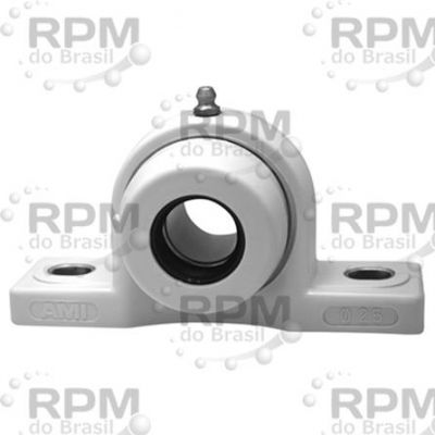 ROLAMENTOS AMI BPPL6-19MZ2CW