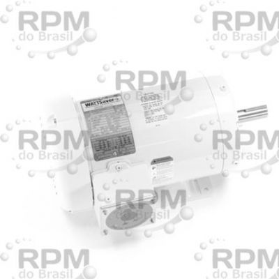 LEESON ELÉTRICA C145T17WB22A