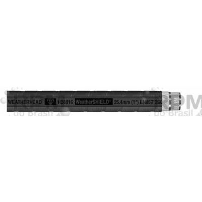 METEOROLOGISTA (EATON) H28006