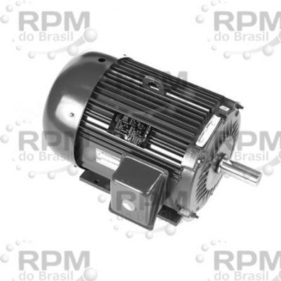 LINCOLN MOTORES LM13961