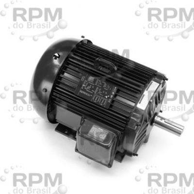 MOTORES LINCOLN LM16029