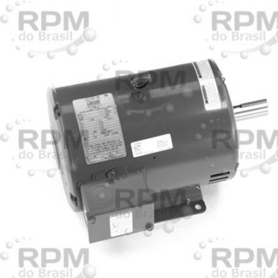 MOTORES LINCOLN LM24202