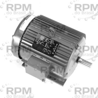 MOTORES LINCOLN LM33561