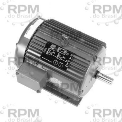 MOTORES LINCOLN LM33563