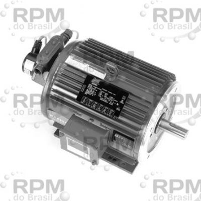 LINCOLN MOTORES LM33595