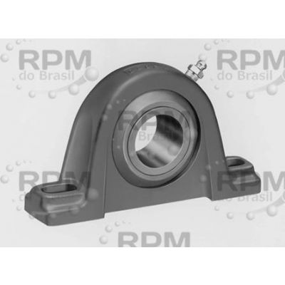 DODGE P2B-LTB10-30M