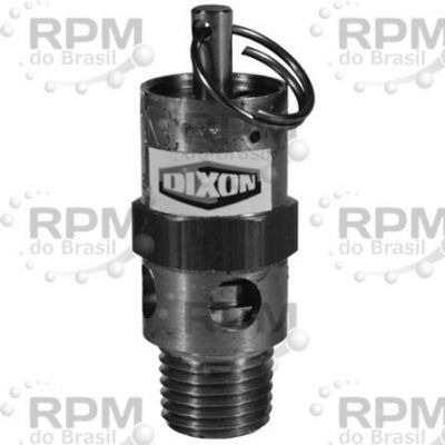 DIXON VALVE & COOPLING COMPANY, LLC SV100